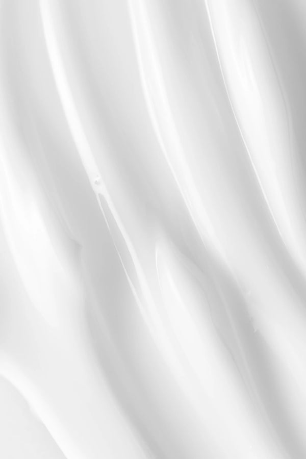 THE PRESERVATIONIST
